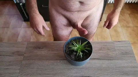 Gay Man Waters Plants with Pee and Cum