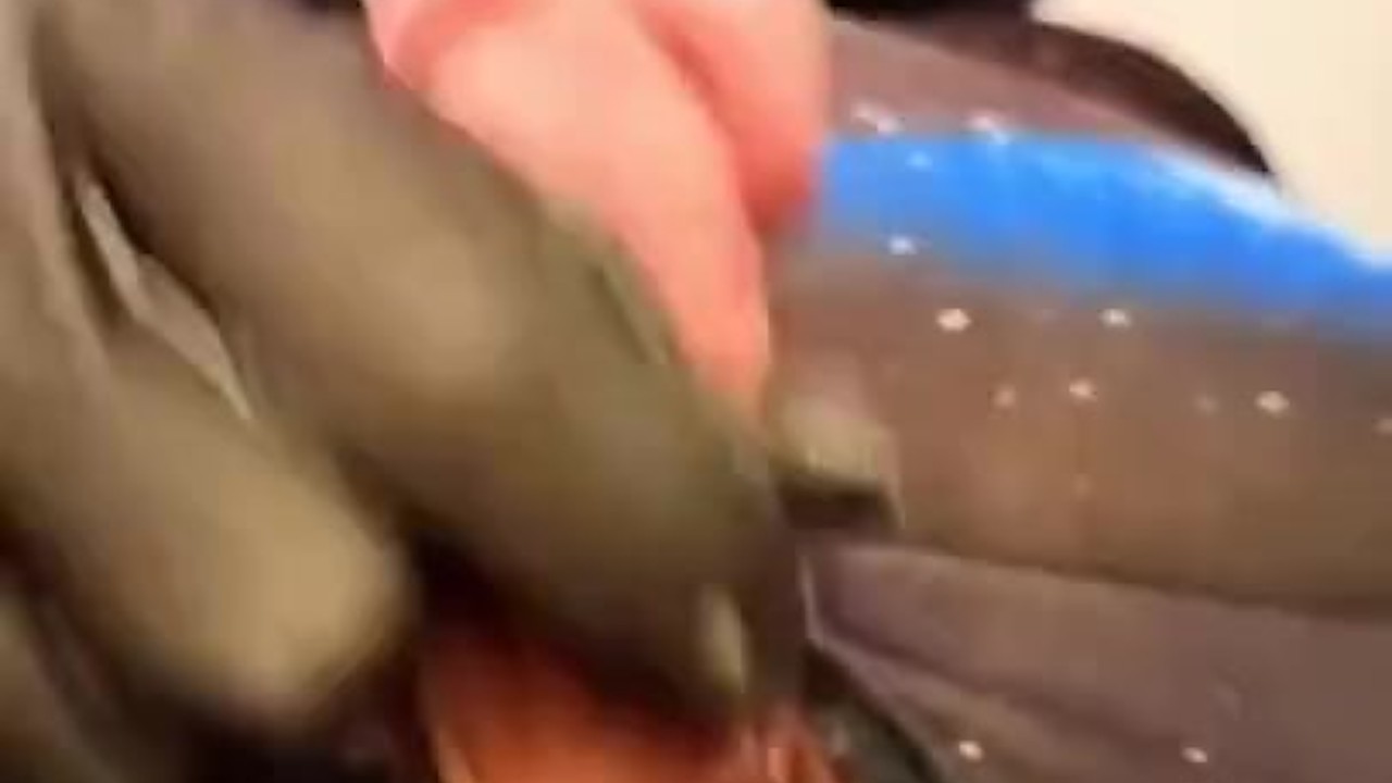 Guy Cums in Quick 29-Second Video Clip