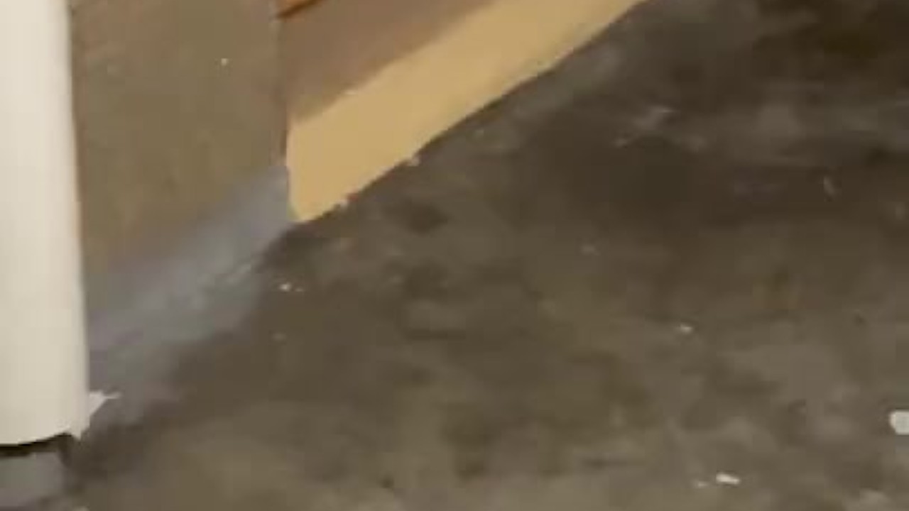 Public Handjob and Sucking