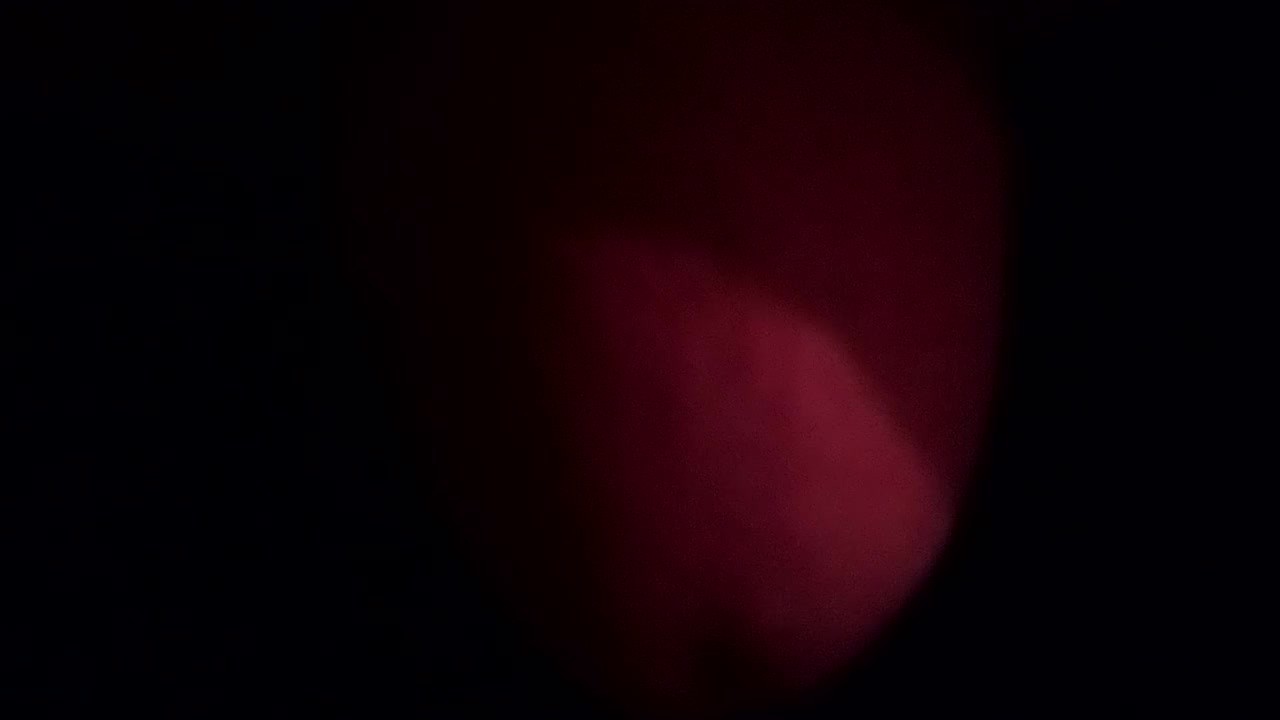 Fat Dick Gets Jerked Off in Solo Action