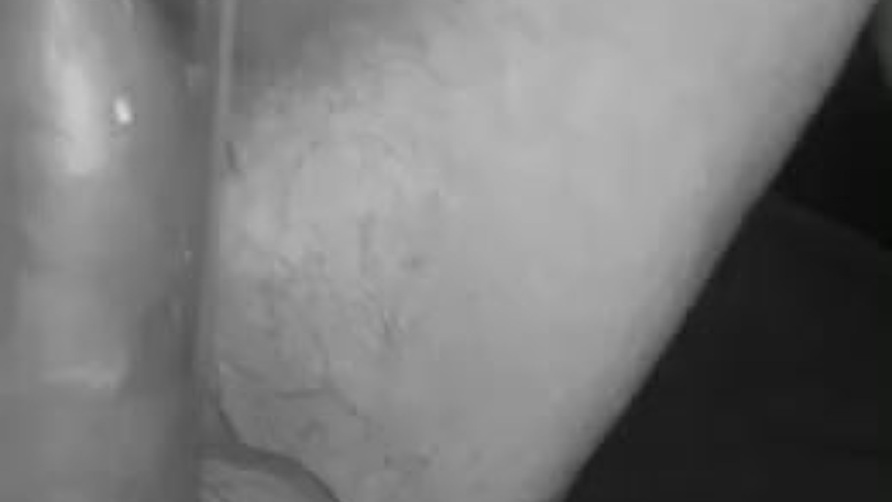 Guy Jerks Off His Hard Cock