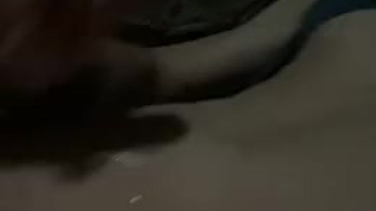 Late Night Solo Cumshot