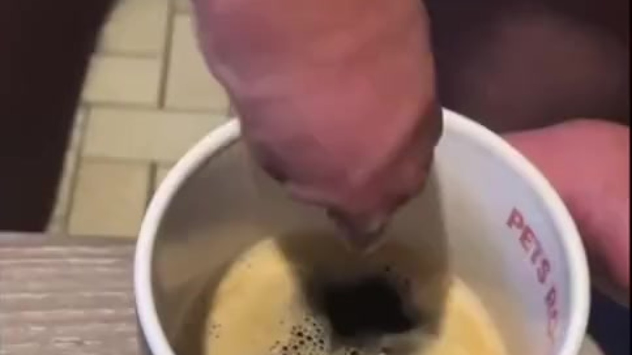 Gay Coffee Shop Oral Sex