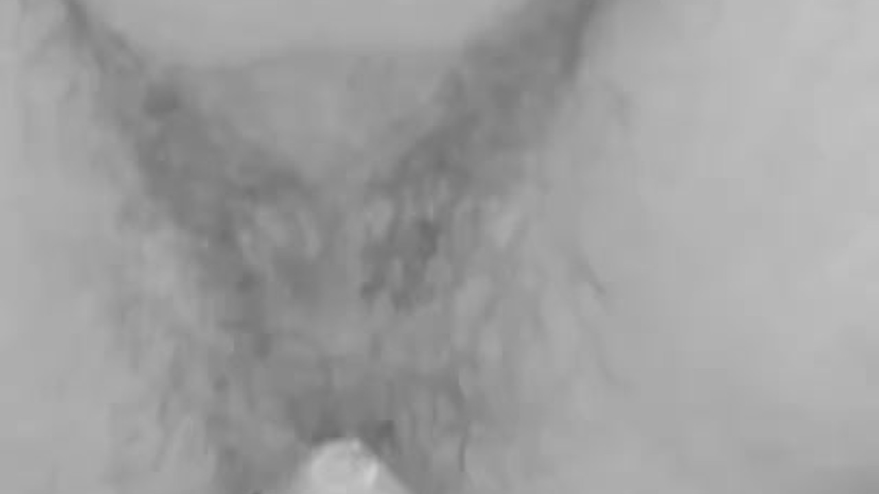 Big Dildo Fucks PAWG Gay Bottom
