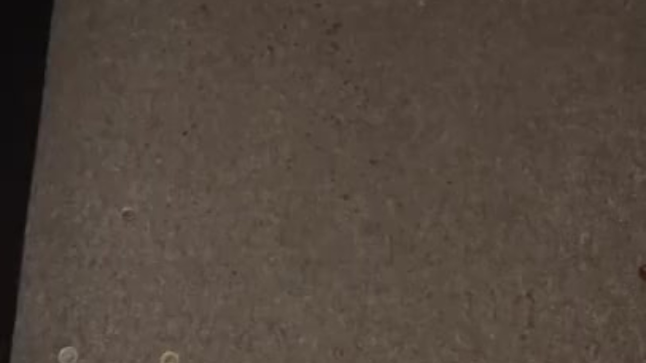 Guy Urinates on Carpet, Leaves Mess