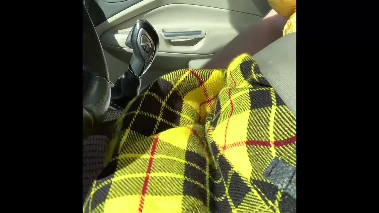 Trans Driver Jerks Off in Skirt at High Speed