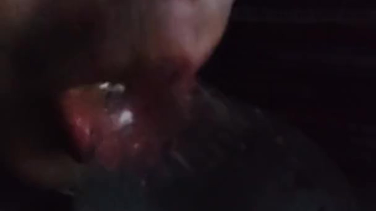 Lonely Guy Masturbates with Pet Bottle for Relief