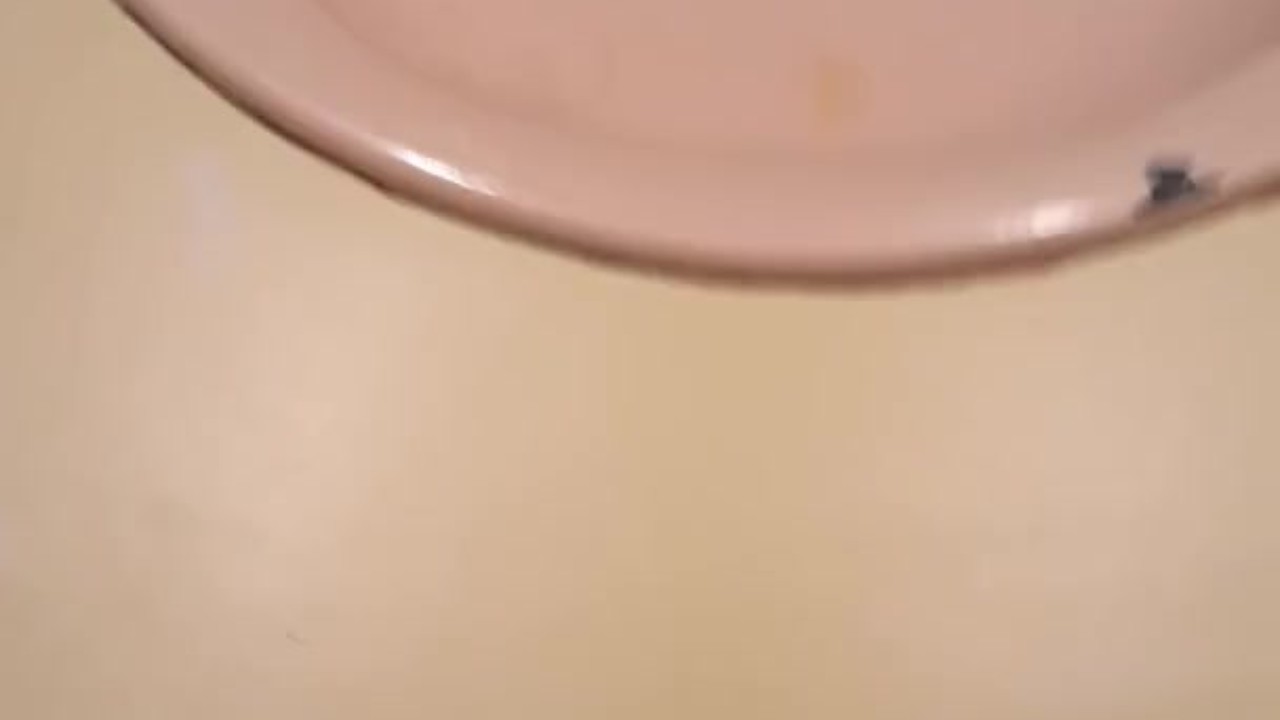 Dirty Talk Leads to Cumming on Sink