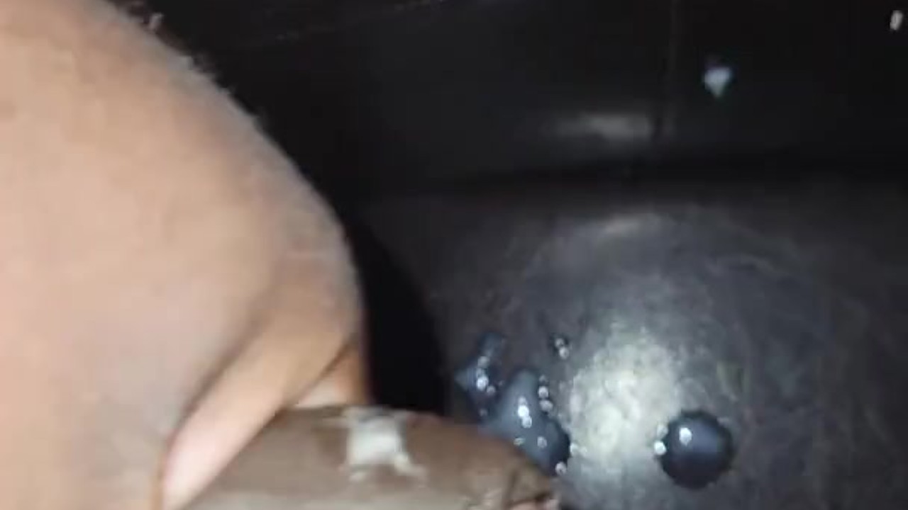 Guy Jerks Off for Fast Orgasm