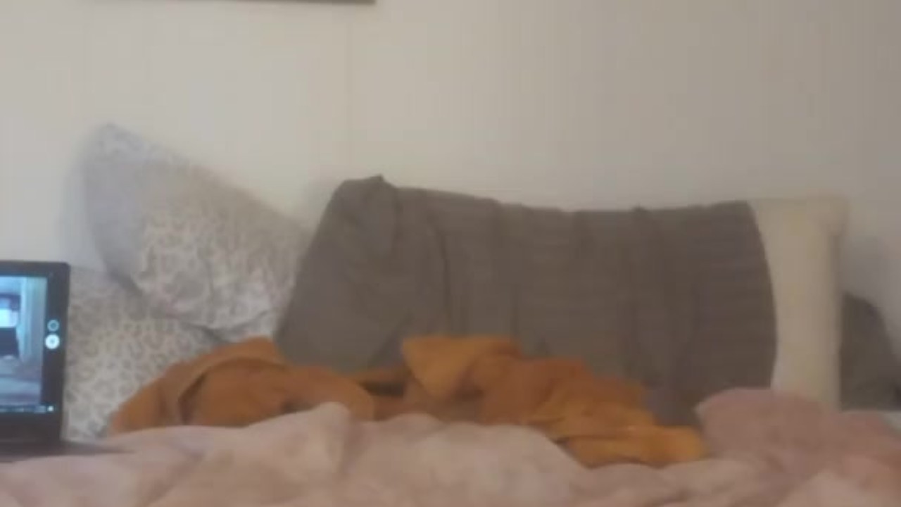 Beefy Guy Shakes Ass, Self-Fucks Doggystyle