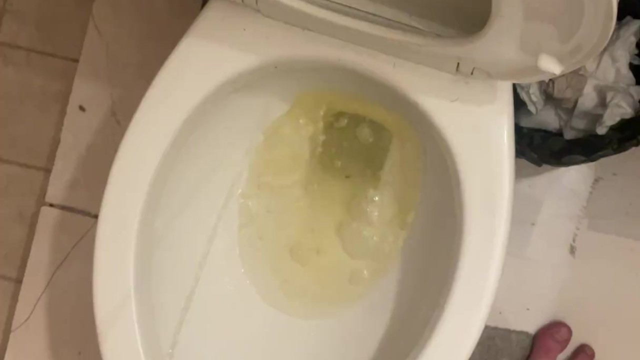 Guy Pisses in Shared Hostel Toilet