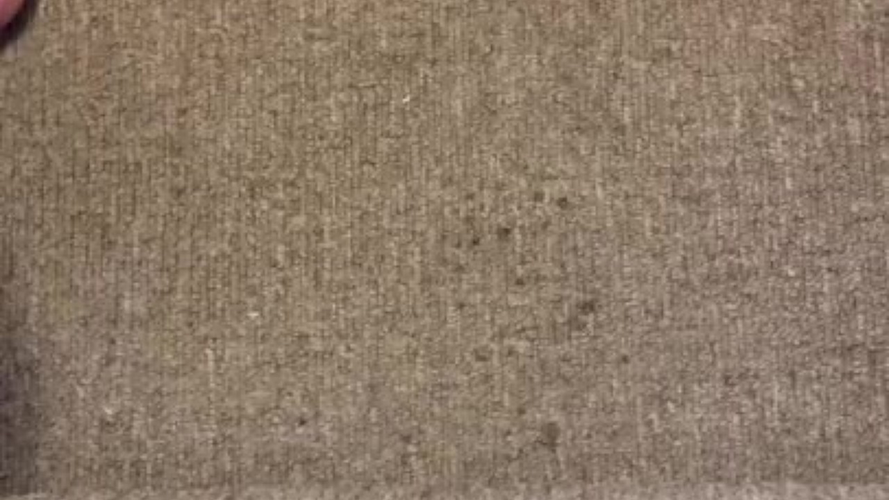 Gay Guy Urinates on Carpet