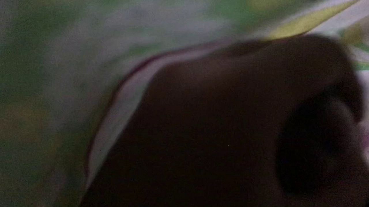 Solo Guy Jerks Off to Orgasm