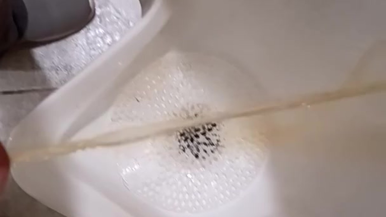Man Urinates in Grocery Store Men's Room