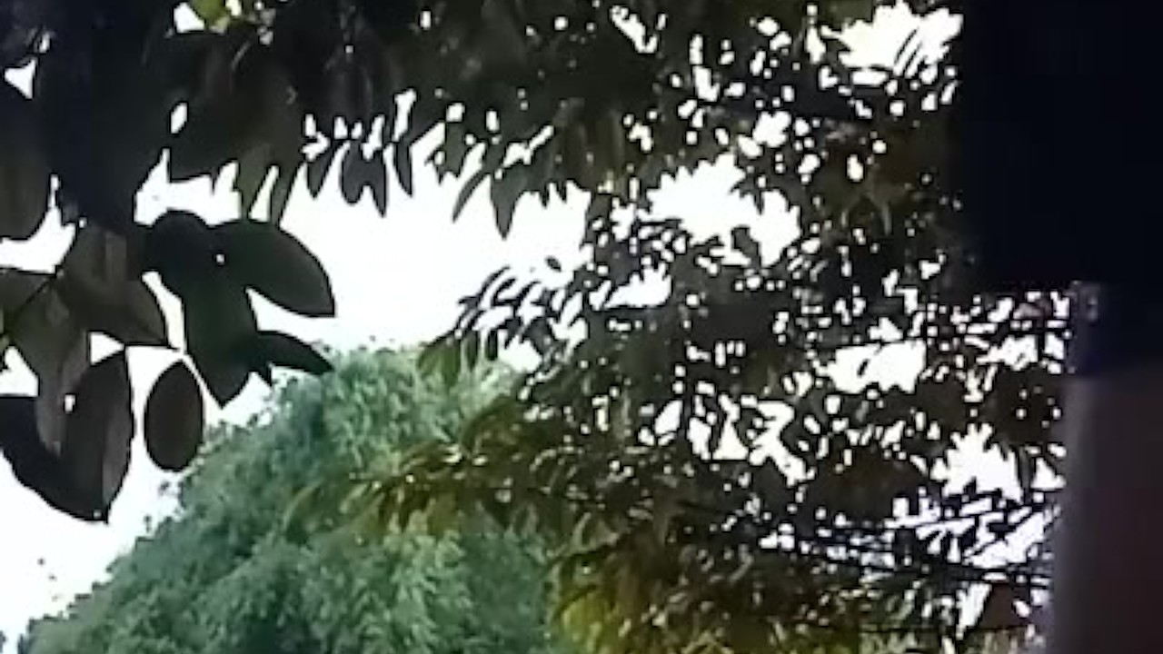 Camping Guy Jerks Off While Friends Wait