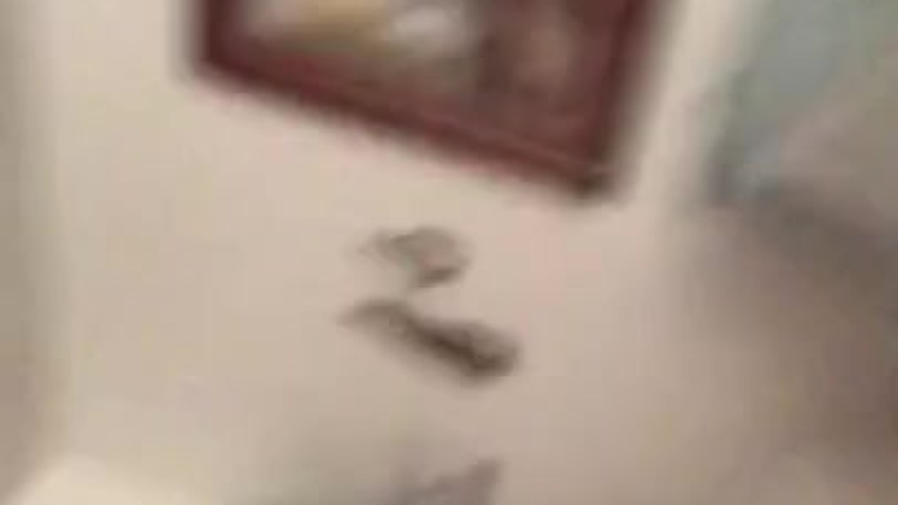Young Bottom Gets Fucked Hard