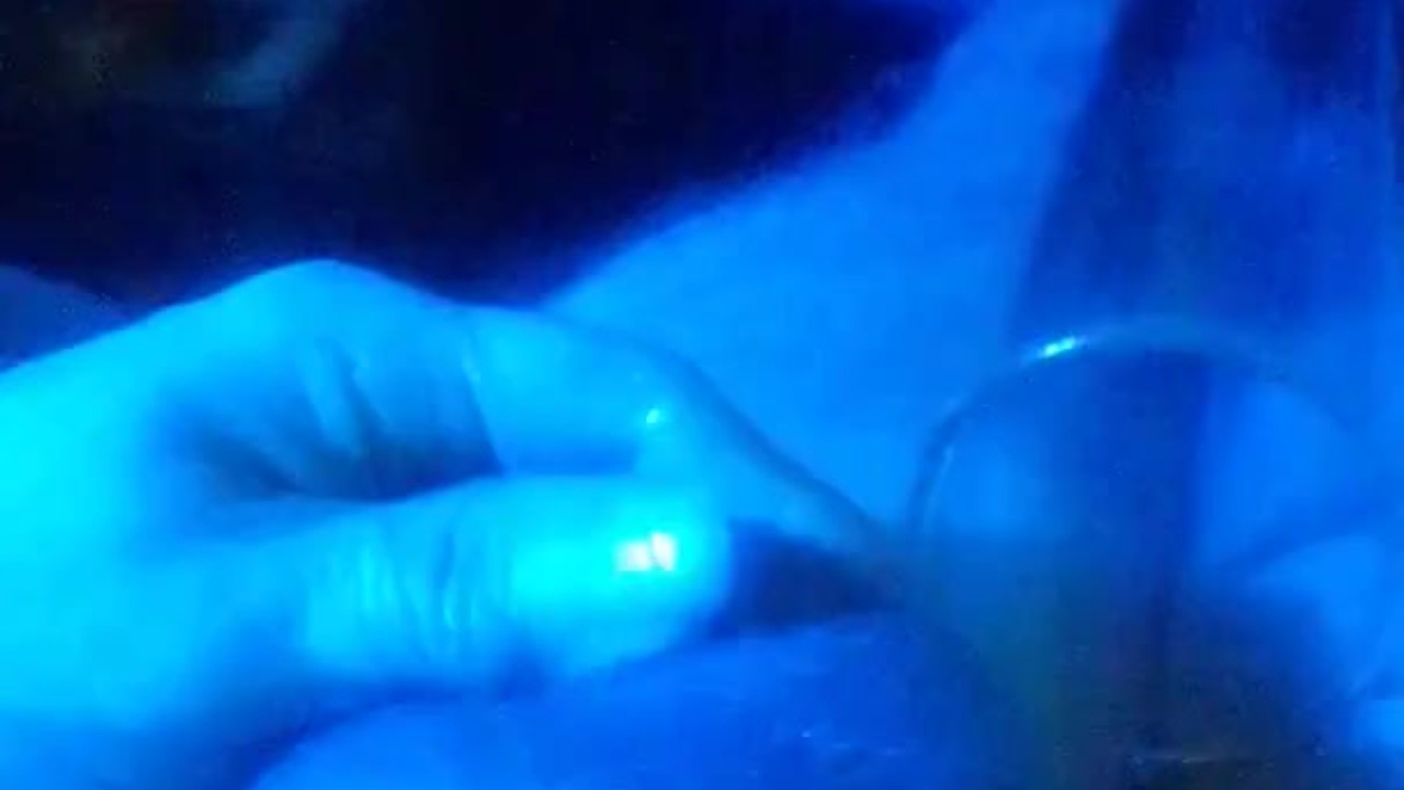 Oiled Balls Under Blue Light