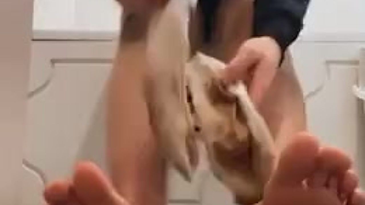Twink Worships Socks at Office