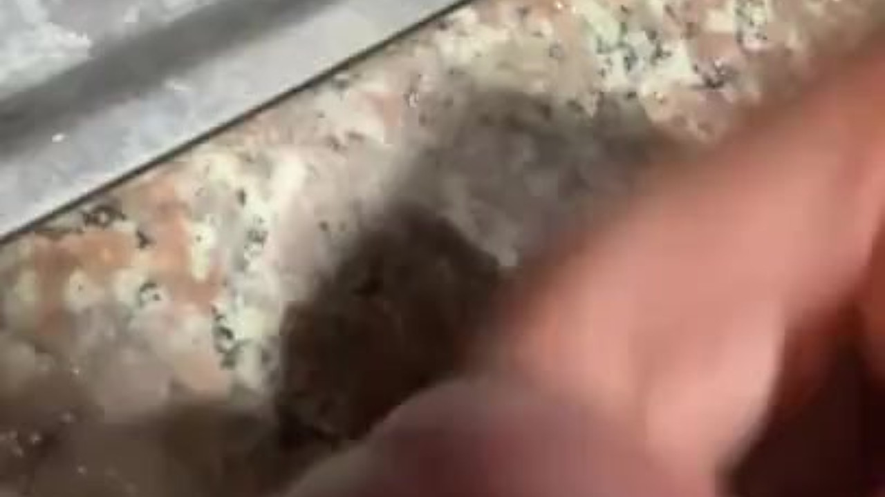 Guy Jerks Off in Sink During Morning Routine