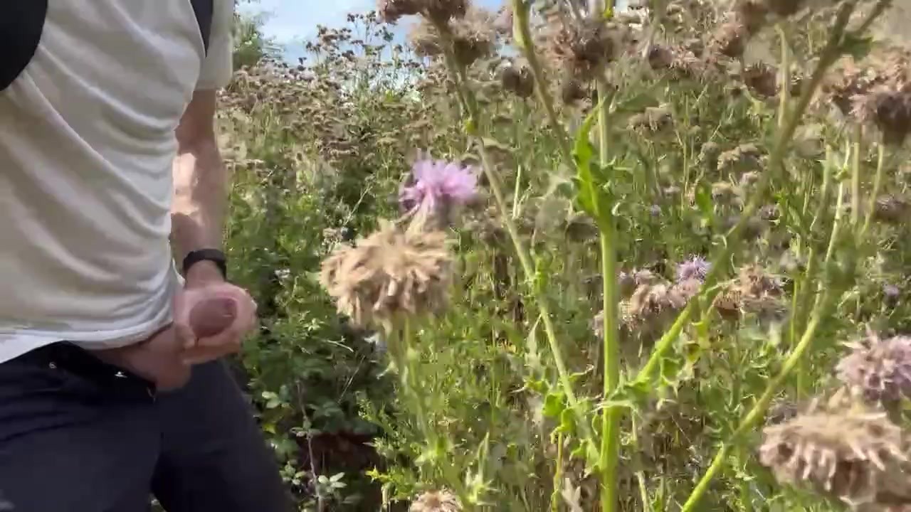 Hung Guy Masturbates in the Bush