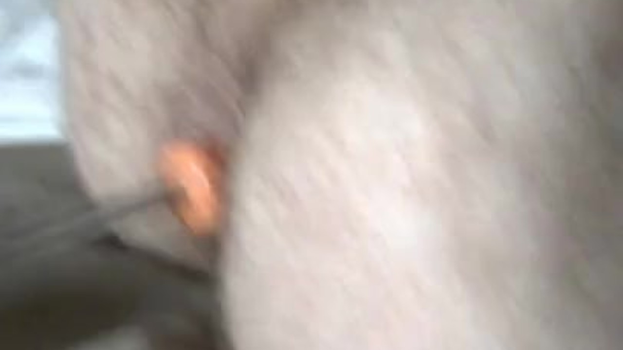 Young Twink Gets His Ass Fucked Hard