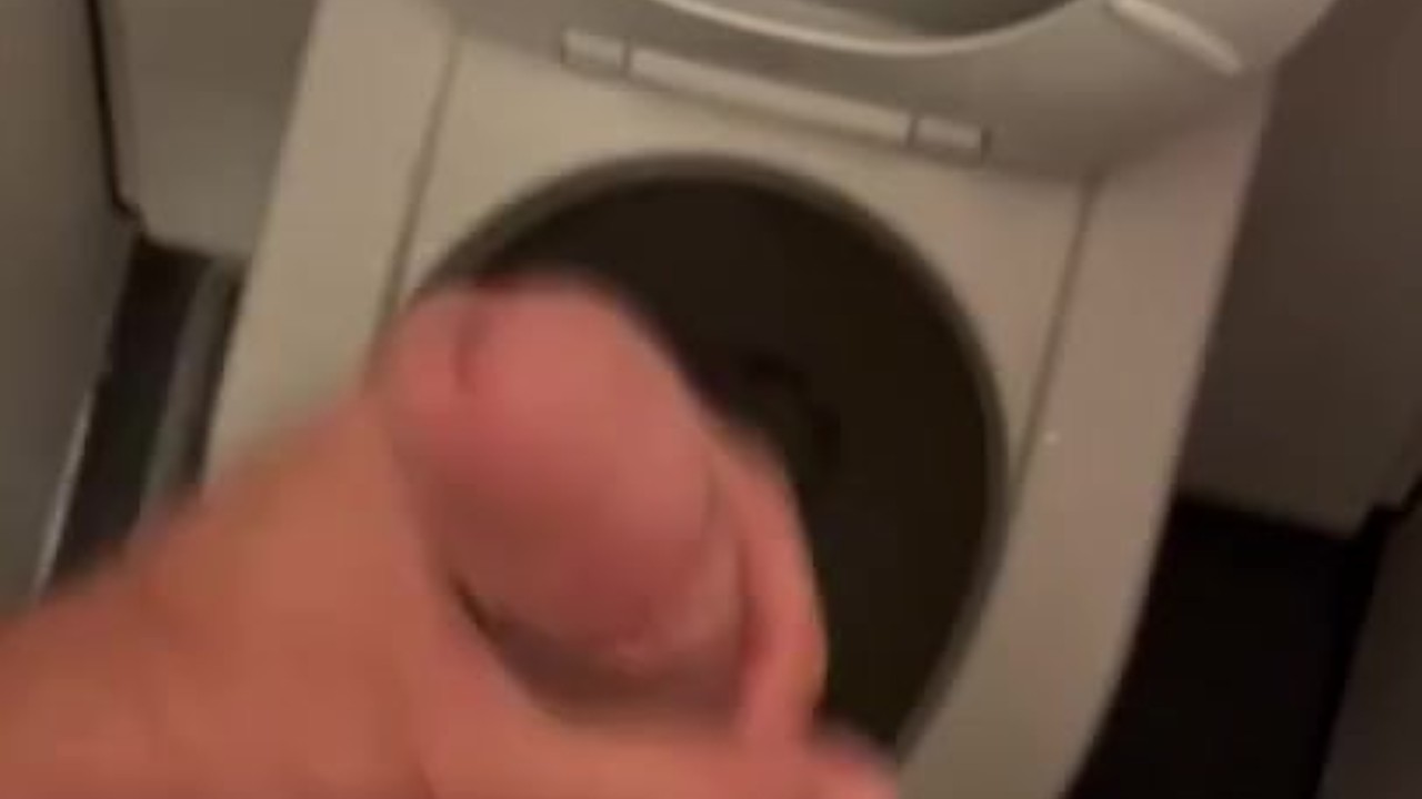 Airplane Bathroom Oral Sex