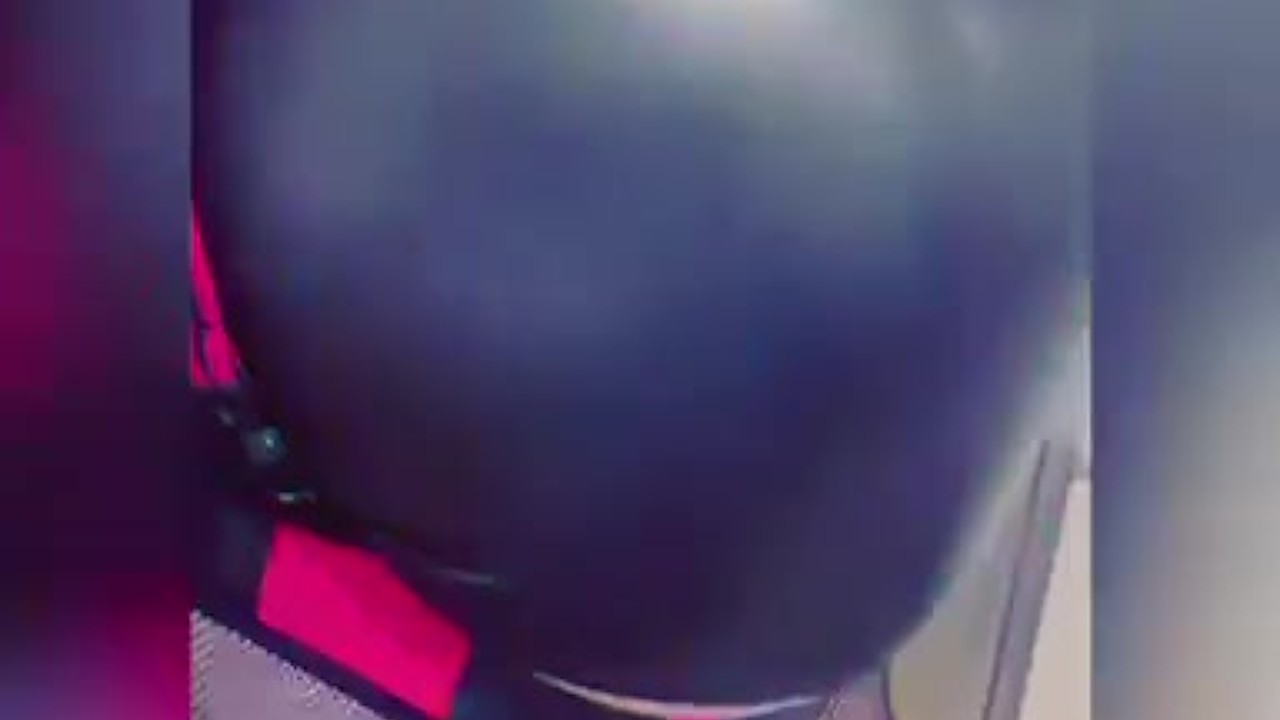 Pup Play Showcases Oral and Anal Skills