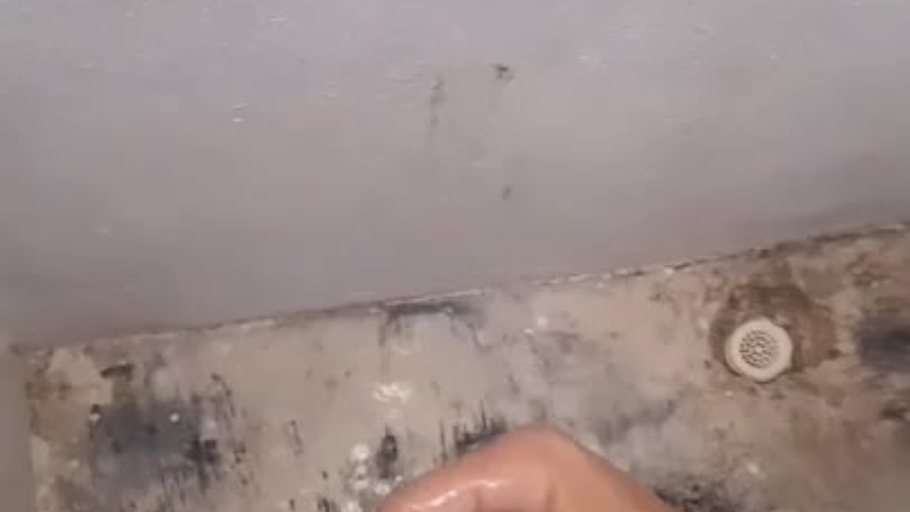 Guy Cums for His Partner's Pleasure