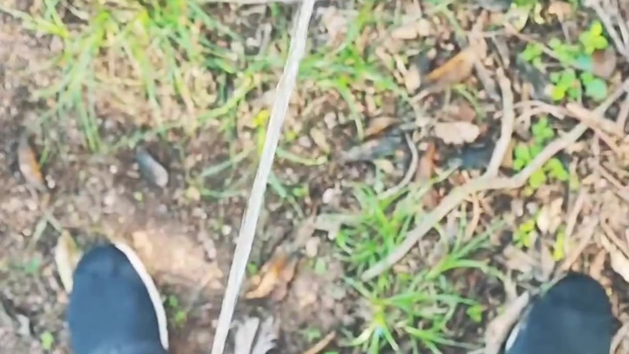 Chastity Device Used in Watersports Scene