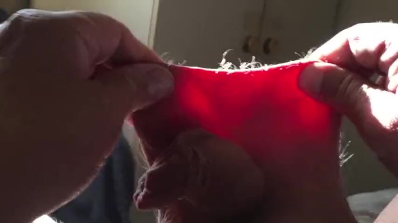 Solo Guy Masturbates with Passion