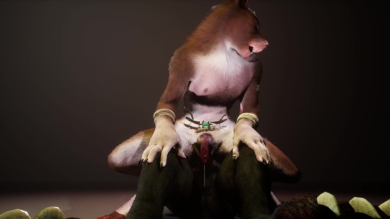 Furry Gay Animations with Rough Hardcore Action