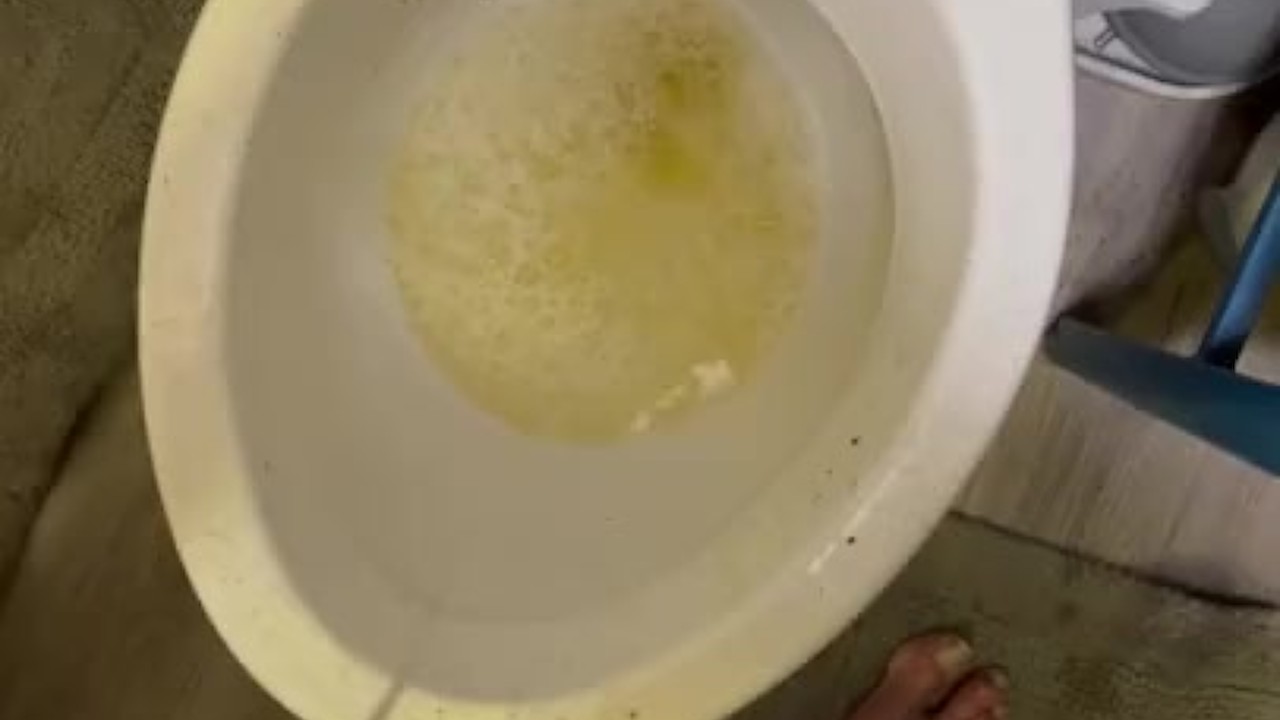 Toilet Cleaning Turns Into Gay Oral Sex