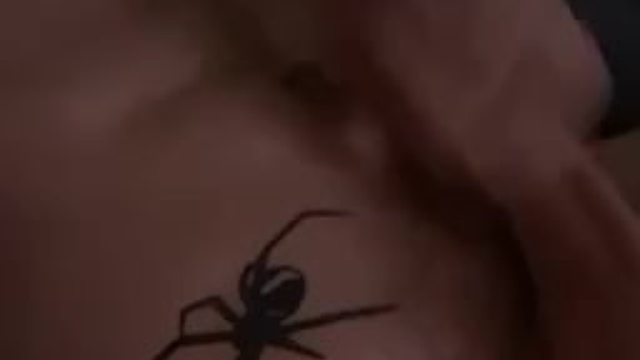 Solo Guy Explosively Cums with Huge Cumshot