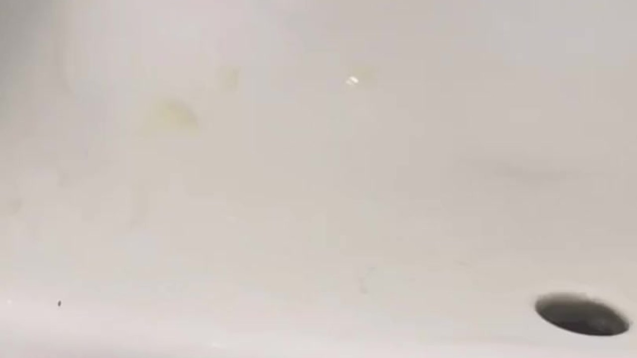 Dripping precum and cumming hard