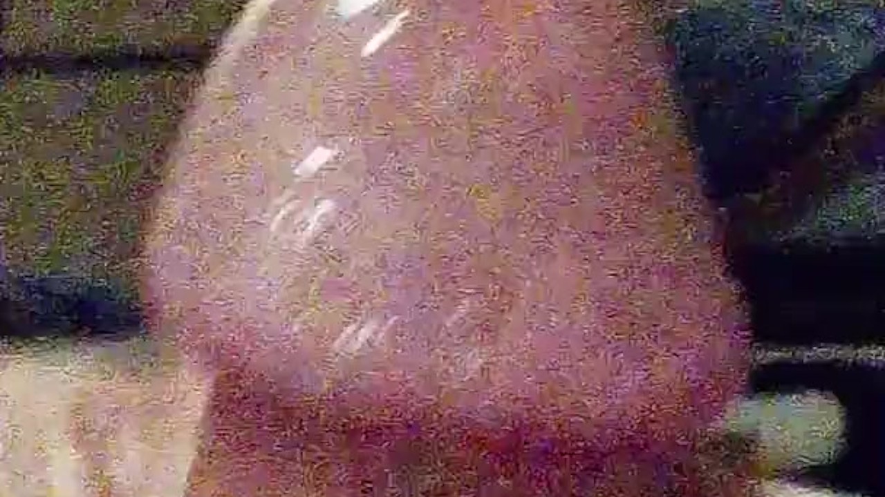 Catdaddycrowell